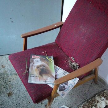 Urbex - Krysi-Schloss 2024