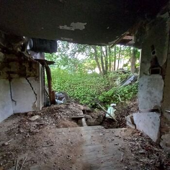 The disappearing sawmill