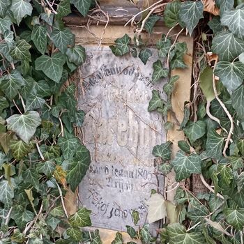 Friedhof 2022 Friedhof 2022