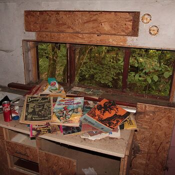 Mill from Snake river