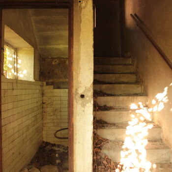 Landwirtschaftliche Fläche mit Hopfentrocknungsanlage 2023