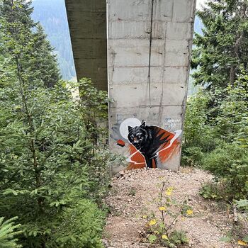 Olympijské skokanské můstky Bosna 2024