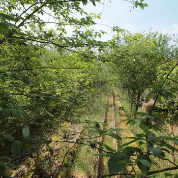 Gehöft vom Ende des 13. Jahrhunderts