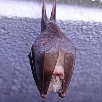 Urlaubsort in Österreich