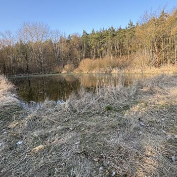 Opuštěné koupaliště