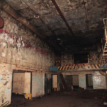 Maple 52 with swimming pool