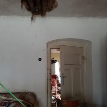 House in the development