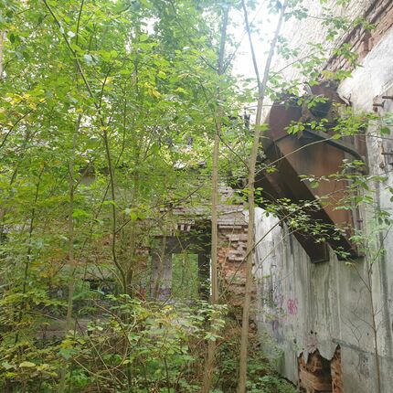 Mine production halls 2021