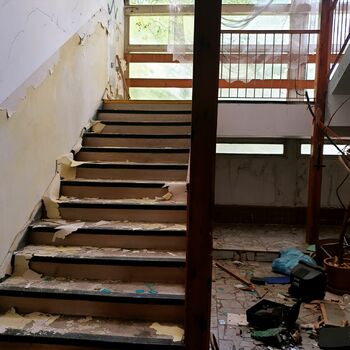 support step tread device structural member