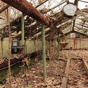 Gartenarbeit ab 1940