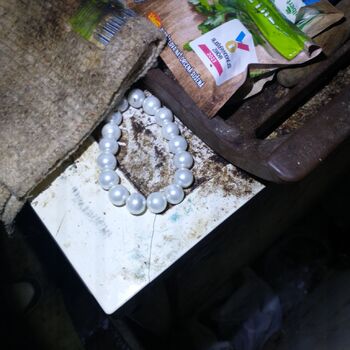 Dům babičky která nedojedla ledničku