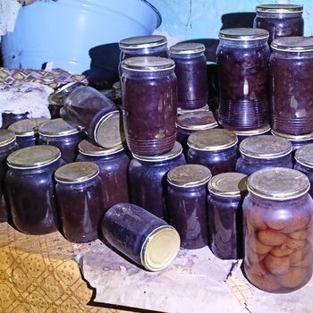 Spitzenschiff 9z10ti...