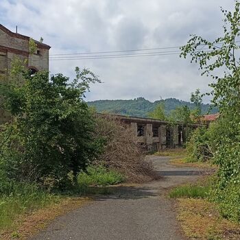 Fabrika 2024 Fabrika 2024
