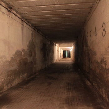 Tunel spojující pod kolejištěm obě křídla skladů Tunel spojující pod kolejištěm obě křídla skladů