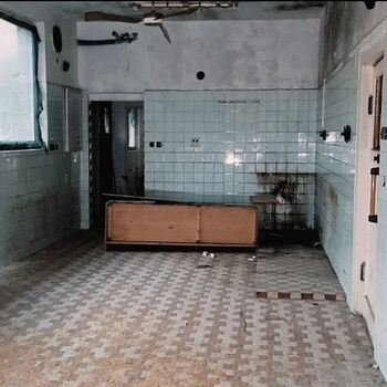 Former recreation centre 🏚️🌲🌲