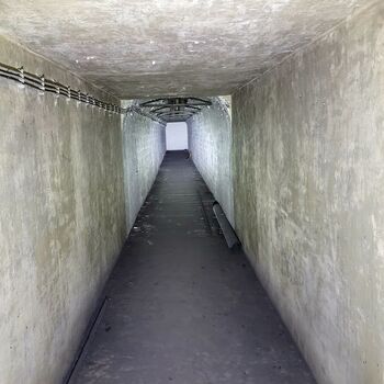 Ein Welpe mit Rüssel