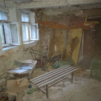 Homestead with a pond