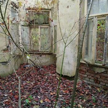 skleníkové budova struktura