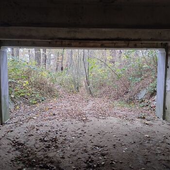 Demolition crew on their heels