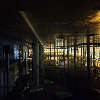 TORZO Radnice Nová Palmovka - Večerní průzkum