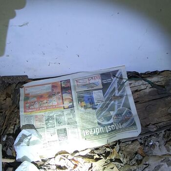 Urbex - Pionýrský tábor J.....  SK