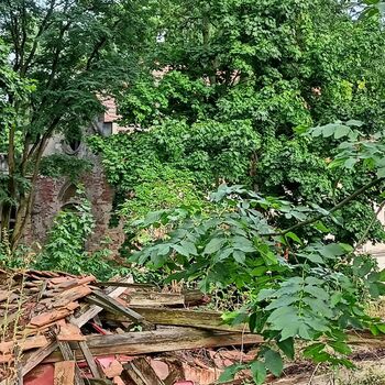 das Schloss, das jeder kennt...