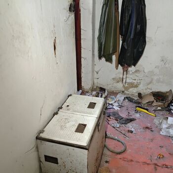 Warum sind sie plötzlich weg? Das Gehöft von Farmer Motloch...