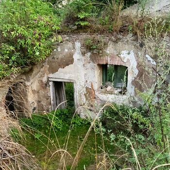 das Schloss, das jeder kennt...