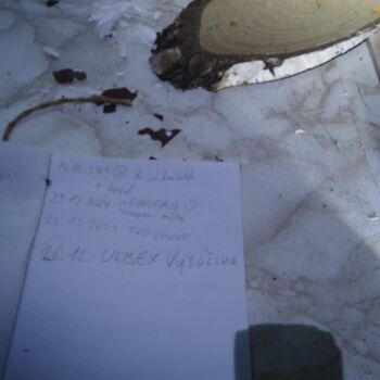 Urbex - Krysi-Schloss 2024