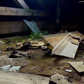 ᴀʙᴀɴᴅᴏɴᴇᴅ ꜱᴄʜᴏᴏʟ