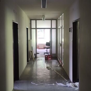 Die Schönheit der österreichischen hor🇦🇹🏔️❤️ Die Schönheit der österreichischen hor🇦🇹🏔️❤️