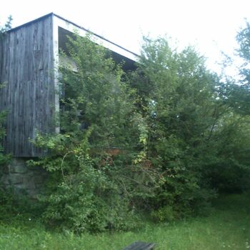 zahrada krajina strom Les