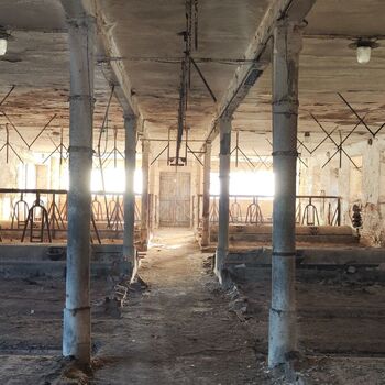 Abandoned farm building_2025