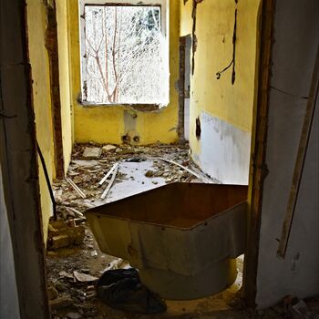 toilet room bathroom interior house furniture