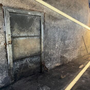 hory, DOLY, černý pes