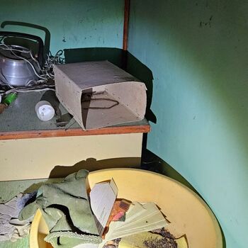 Eine Hütte in der Mitte von Nirgendwo