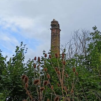 das Schloss, das jeder kennt...