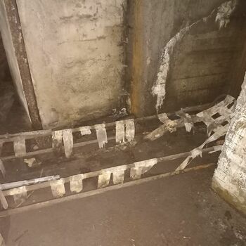 Buňka staré Buňka staré