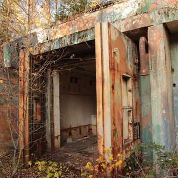 VEGA Group VEGA Group