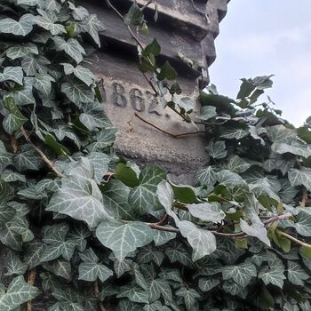 Friedhof 2022 Friedhof 2022