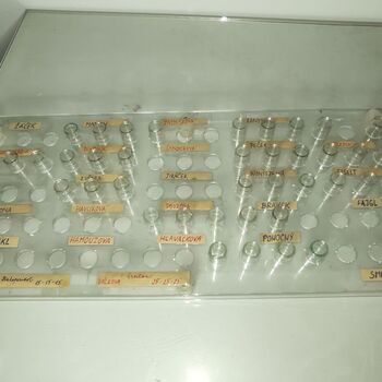 Medical clinic in the mountains 😷