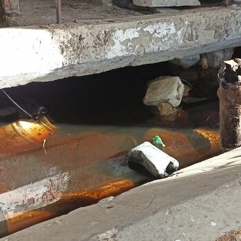 Kravin 2022 Kravin 2022