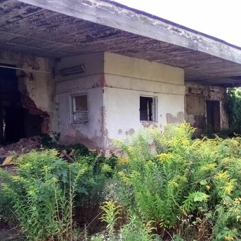 house bungalow roof home house bungalow roof home