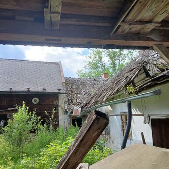 Mill in the foothills