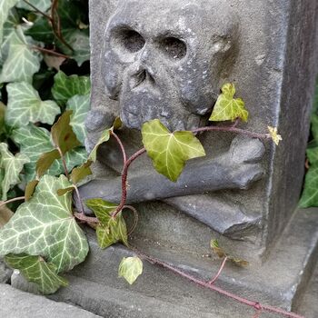 Friedhof 2022 Friedhof 2022