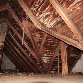 Beschreibende Nummer 35 Beschreibende Nummer 35