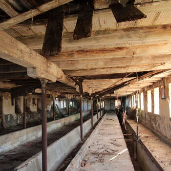 Landwirtschaftliche Fläche mit Hopfentrocknungsanlage 2023