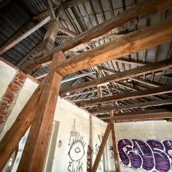 Aunt Omega, or I Believe in Fairies