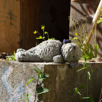 The beauty of the old spa