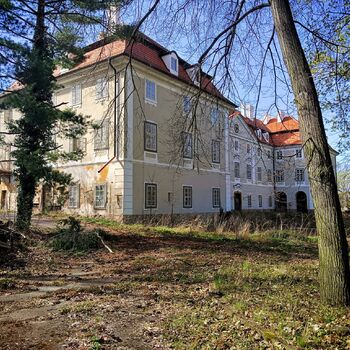 Das vergessene Schloss